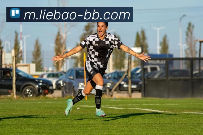 贝博体育平台生态图